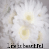 mycutegraphics.com