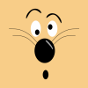 Cat Face