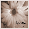 mycutegraphics.com