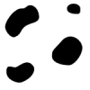 Black and White Cow Spot Background